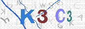 キャプチャ画像