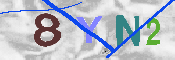 キャプチャ画像