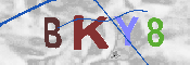 キャプチャ画像