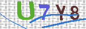 キャプチャ画像