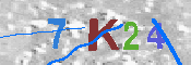 キャプチャ画像
