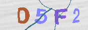 キャプチャ画像