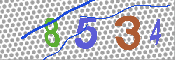 キャプチャ画像