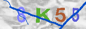 キャプチャ画像