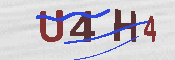 キャプチャ画像