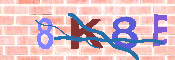 キャプチャ画像