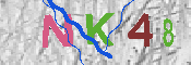 キャプチャ画像