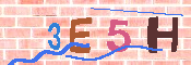 キャプチャ画像