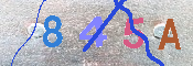 キャプチャ画像