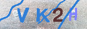 キャプチャ画像