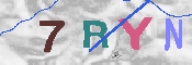 キャプチャ画像