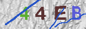 キャプチャ画像