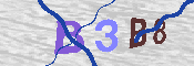 キャプチャ画像