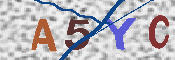 キャプチャ画像