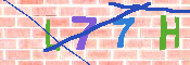 キャプチャ画像