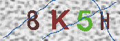 キャプチャ画像