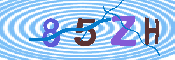 キャプチャ画像
