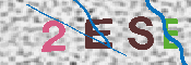 キャプチャ画像