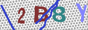 キャプチャ画像