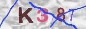 キャプチャ画像