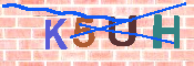 キャプチャ画像