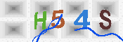 キャプチャ画像
