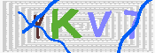 キャプチャ画像