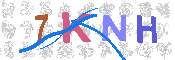 キャプチャ画像