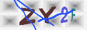キャプチャ画像