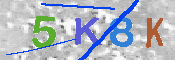 キャプチャ画像