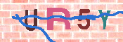 キャプチャ画像
