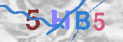 キャプチャ画像