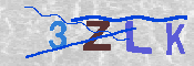 キャプチャ画像