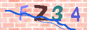 キャプチャ画像