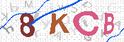 キャプチャ画像
