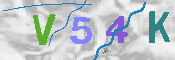 キャプチャ画像