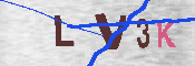 キャプチャ画像