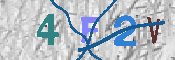 キャプチャ画像