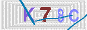 キャプチャ画像