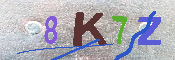 キャプチャ画像