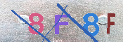 キャプチャ画像