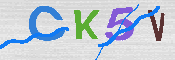 キャプチャ画像