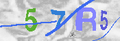 キャプチャ画像