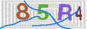 キャプチャ画像