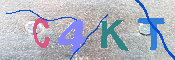 キャプチャ画像