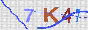 キャプチャ画像