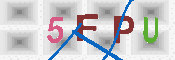 キャプチャ画像