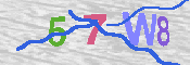 キャプチャ画像