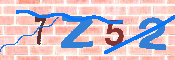 キャプチャ画像