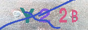 キャプチャ画像